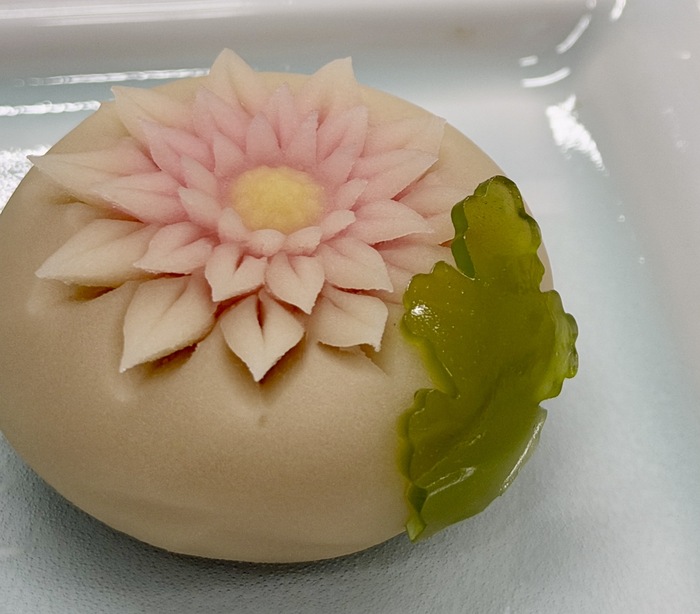 中田屋さんの「姫小菊」
